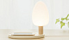 Настольная лампа Emoi Tree & Lake H0060 (White) купить в интернет-магазине icover