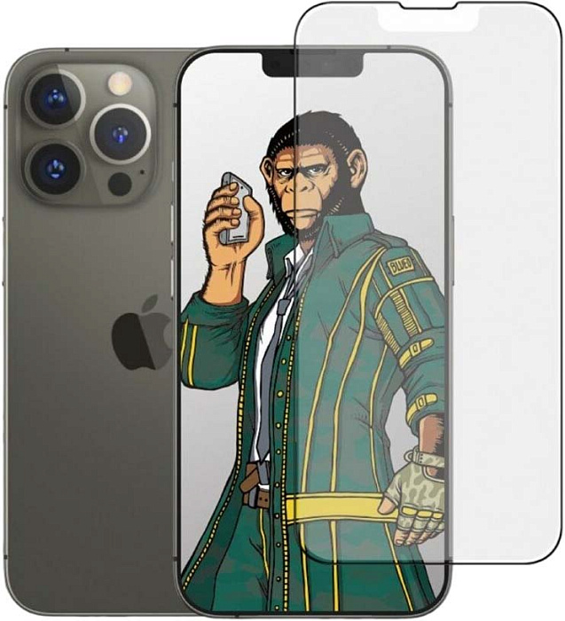 Защитное стекло BlueO 2.5D Silk Anti-glare Anti-Static (NPB9-6.1(21)) для iPhone 13/13 Pro (Black) купить в интернет-магазине icover