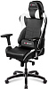 DXseat V75/XW - компьютерное кресло (White) купить в интернет-магазине icover