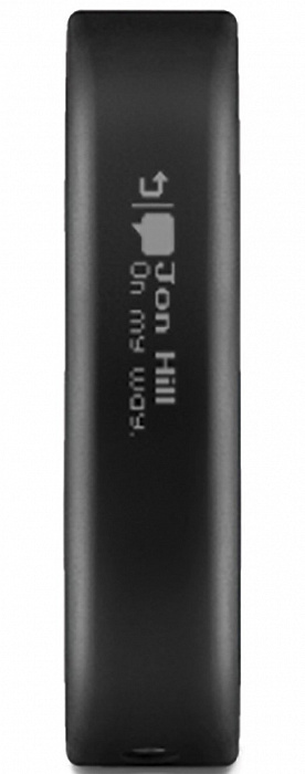 Garmin Vivosmart SM - фитнес браслет (Gray) купить в интернет-магазине icover