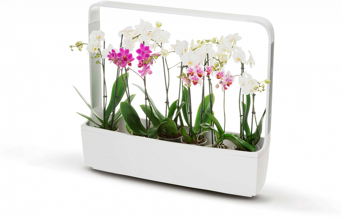 Умный сад Tregren T12 Kitchen Garden (White) купить в интернет-магазине icover