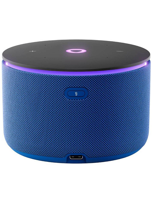 Умная колонка Яндекс Станция Мини 3 Про Zigbee YNDX00059BLU (Blue) купить в интернет-магазине icover