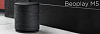 Беспроводная акустика Bang & Olufsen Beoplay M5 (Black) купить в интернет-магазине icover