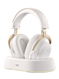 Беспроводные наушники Mchose V9 Turbo+ Over-Ear (White/Gold) купить в интернет-магазине icover