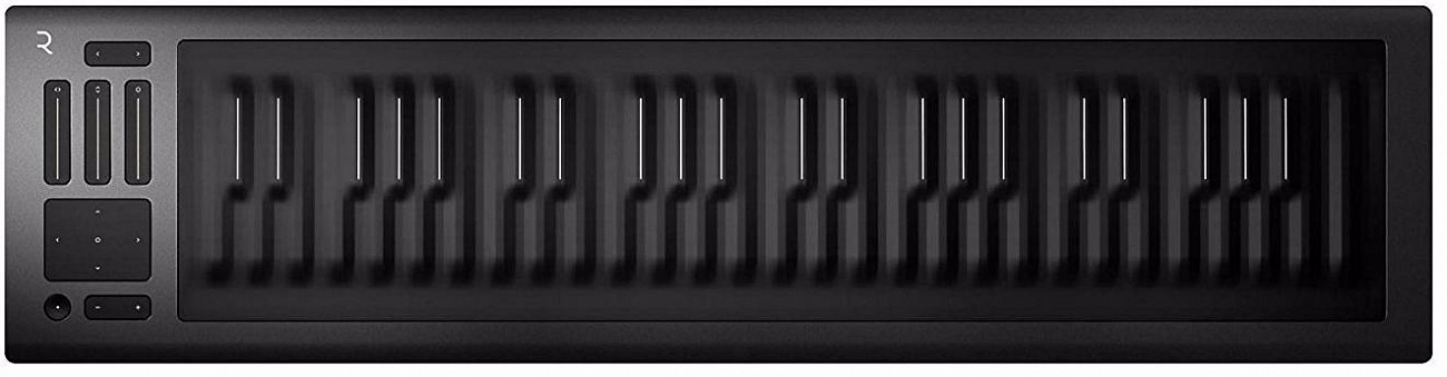 ROLI Seaboard RISE 49 - MIDI-контроллер (Grey) купить в интернет-магазине icover