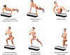 Виброплатформа US Medica VibroPlate PRO (White) купить в интернет-магазине icover