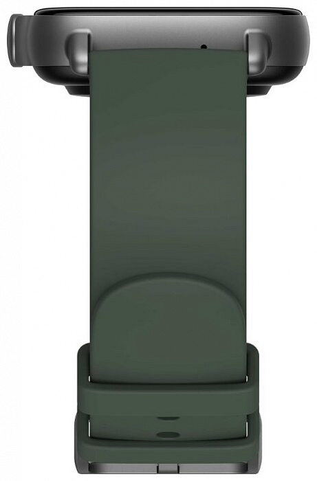 Умные часы Xiaomi Amazfit GTS 2e (Moss Green) купить в интернет-магазине icover