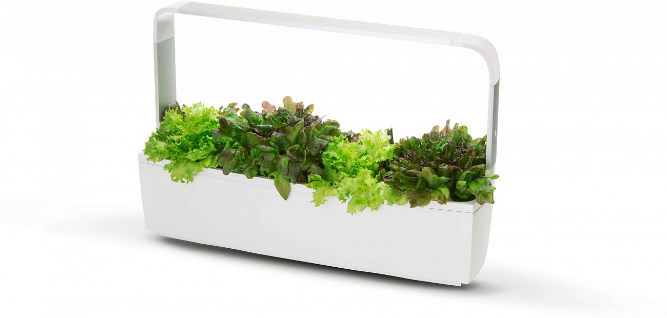 Умный сад Tregren T12 Kitchen Garden (White) купить в интернет-магазине icover