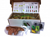 Pleo Rb 2015 Pack (663910) - робот-динозавр с аксессуарами (Green) купить в интернет-магазине icover
