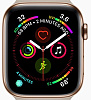 Умные часы Apple Watch Series 4 40mm MU682 (Gold) купить в интернет-магазине icover
