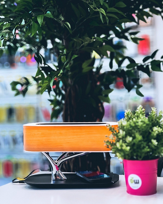 Умный светильник HomeTree Light of Tree (YT-M1602-L2) с беспроводной зарядкой купить в интернет-магазине icover