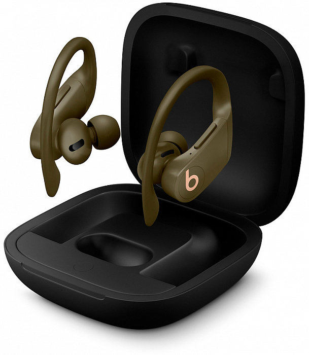 Bluetooth-наушники с микрофоном Beats Powerbeats Pro MV712EE/A (Moss) купить в интернет-магазине icover