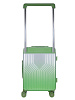 Чемодан Ridberg Chroma (Green) размер S купить в интернет-магазине icover