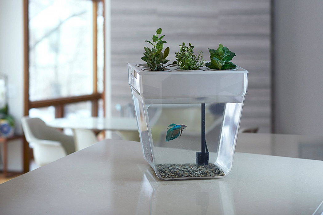 Домашняя акваферма Back To The Roots AquaFarm 2.0 купить в интернет-магазине icover