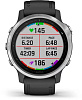 Спортивные часы Garmin Fenix 6S 010-02159-01 (Silver/Black) купить в интернет-магазине icover