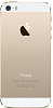 Apple iPhone 5S 16Gb Gold (FF354RU/A) - восстановленный купить в интернет-магазине icover