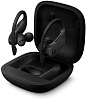 Bluetooth-наушники с микрофоном Beats Powerbeats Pro MV6Y2EE/A (Black) купить в интернет-магазине icover