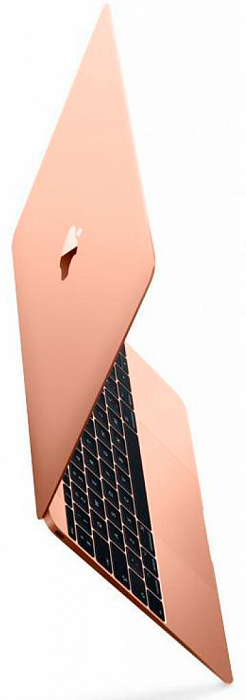 Apple MacBook Air 2018 13.3'' Intel Core i5 1.6GHz 8Gb 128Gb SSD MREE2RU/A (Gold) купить в интернет-магазине icover