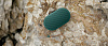 Портативная акустика Bang & Olufsen BeoPlay P2 (Teal) купить в интернет-магазине icover