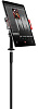 Подставка-тренога IK Multimedia iKlip 3 Deluxe (IP-IKLIP-3DLX-IN) для планшета до 12.9'' (Black) купить в интернет-магазине icover