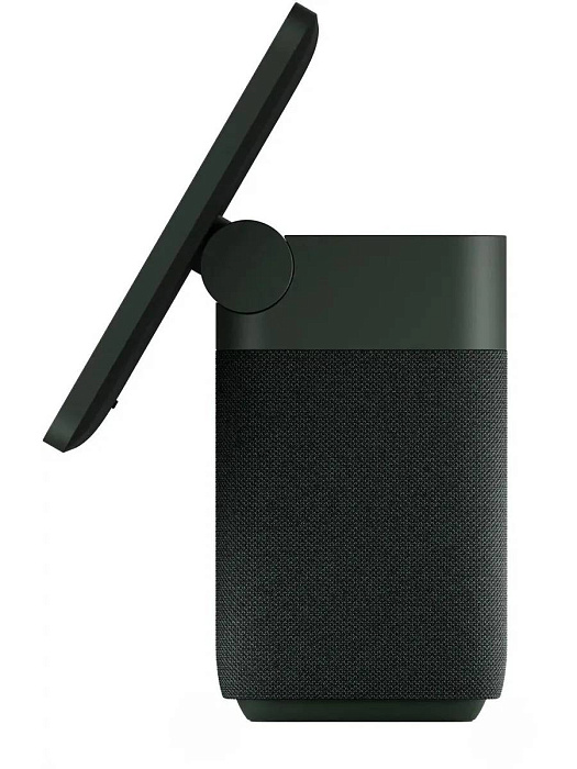 Умная колонка Яндекс Станция Дуо Макс Zigbee с Алисой (Green) купить в интернет-магазине icover