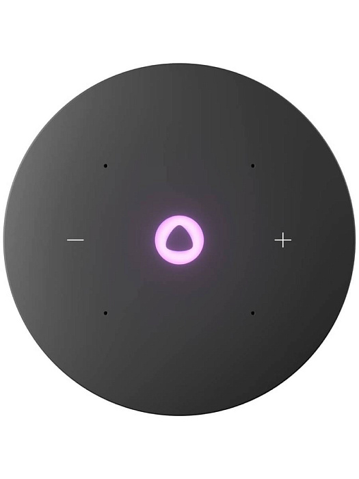 Умная колонка Яндекс Станция Мини 3 Про Zigbee YNDX00059BLU (Blue) купить в интернет-магазине icover