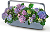 Умный сад Tregren T12 Kitchen Garden (Grey) купить в интернет-магазине icover