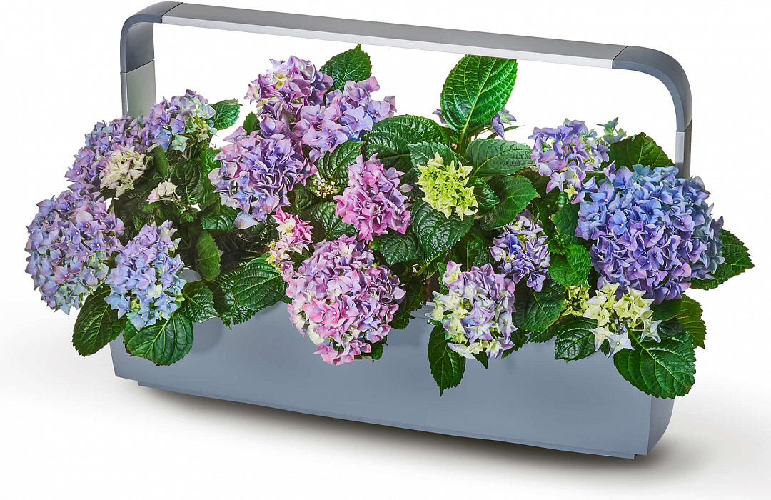 Умный сад Tregren T12 Kitchen Garden (Grey) купить в интернет-магазине icover