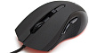 Asus ROG Cerberus - игровая мышь (Black) купить в интернет-магазине icover