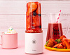 Портативный блендер Xiaomi Pinlo Hand Juice Machine (White) купить в интернет-магазине icover