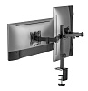 Крепление монитора Ridberg LDT66 Duo LDT66-C024 (Black) купить в интернет-магазине icover