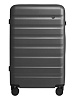 Чемодан NinetyGO Rhine 2.0 28" 10100100510K800300 (Grey) купить в интернет-магазине icover