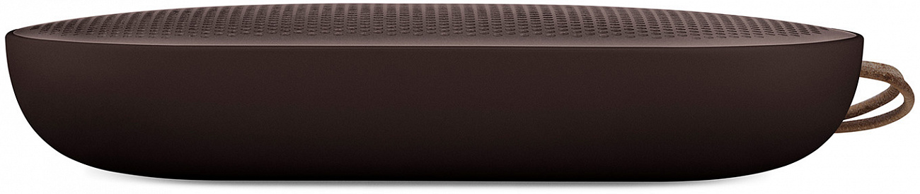 Портативная акустика Bang & Olufsen BeoPlay P2 (Umber) купить в интернет-магазине icover