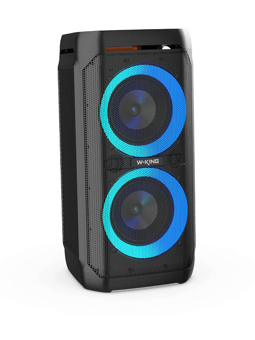 Колонка портативная W-KING T11 100W (Black) купить в интернет-магазине icover
