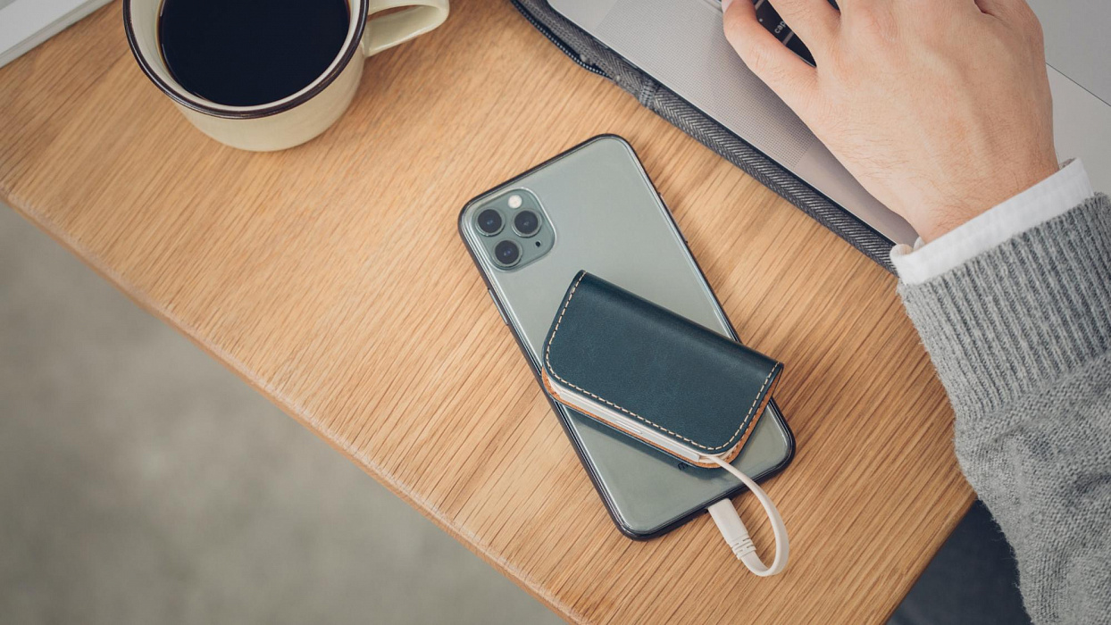 Внешний аккумулятор Moshi IonGo 5K (99MO022019) USB-A/Lightning (Azure Blue) купить в интернет-магазине icover
