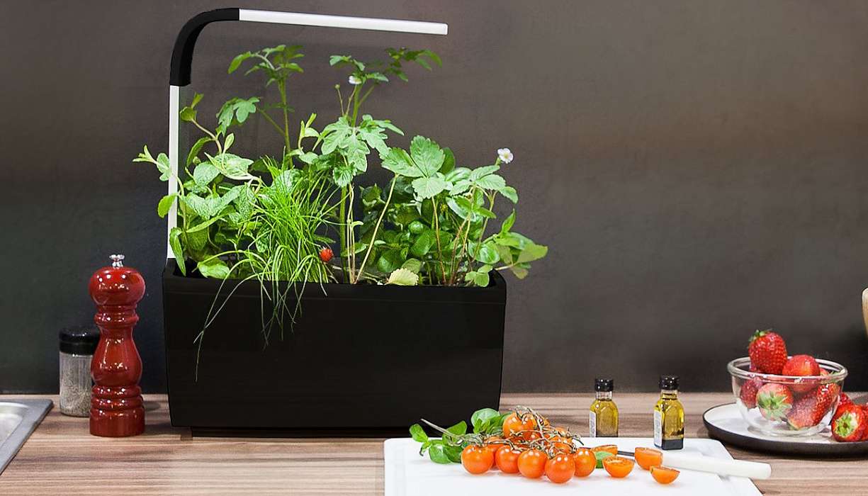 Умный сад Tregren T6 Kitchen Garden (Black) купить в интернет-магазине icover
