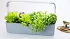 Умный сад Tregren T12 Kitchen Garden (Grey) купить в интернет-магазине icover