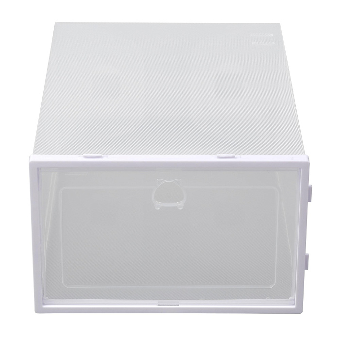 Коробки для хранения обуви Ridberg 10 шт (Transparent) купить в интернет-магазине icover