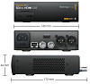 Blackmagic Teranex Mini - конвертер SDI to HDMI 12G купить в интернет-магазине icover