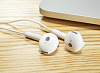 Наушники с микрофоном Honor AM115 (White) купить в интернет-магазине icover
