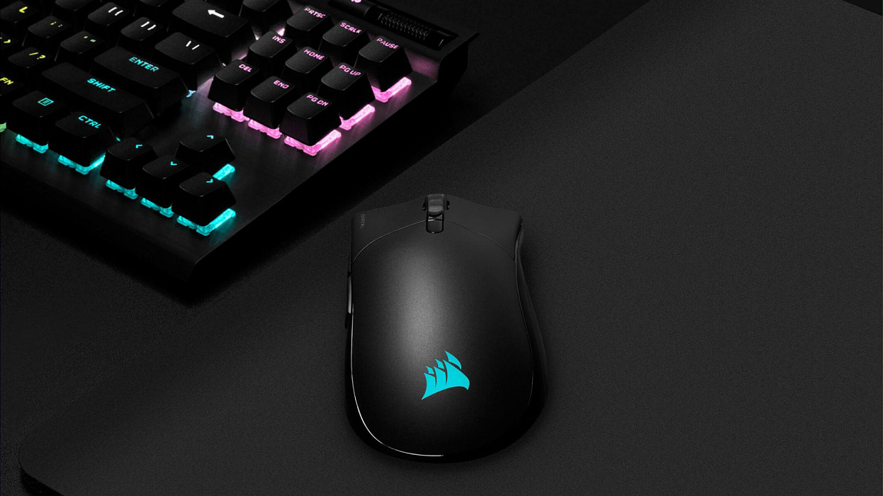 Игровая мышь Corsair Gaming Sabre RGB Pro Wireless CH-9313211-EU (Black) купить в интернет-магазине icover