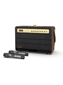 Караоке-система W-KING K6L (Black) купить в интернет-магазине icover