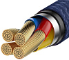 Кабель Baseus Cafule HW (CATKLF-PV3) USB/USB Type C 1m (Gold/Blue) купить в интернет-магазине icover