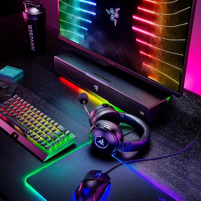 Акустическая система Razer Leviathan V2 RZ05-03920100-R3G1 (Black) купить в интернет-магазине icover