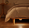 Светильник Xiaomi Yeelight Smart Night Light (YLYD01YL) купить в интернет-магазине icover