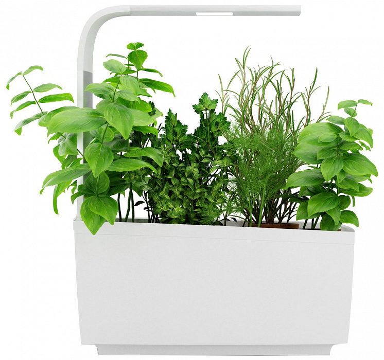 Умный сад Tregren T6 Kitchen Garden (White) купить в интернет-магазине icover