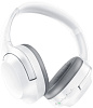 Беспроводные наушники Razer Opus X RZ04-03760200-R3M1 (Mercury) купить в интернет-магазине icover