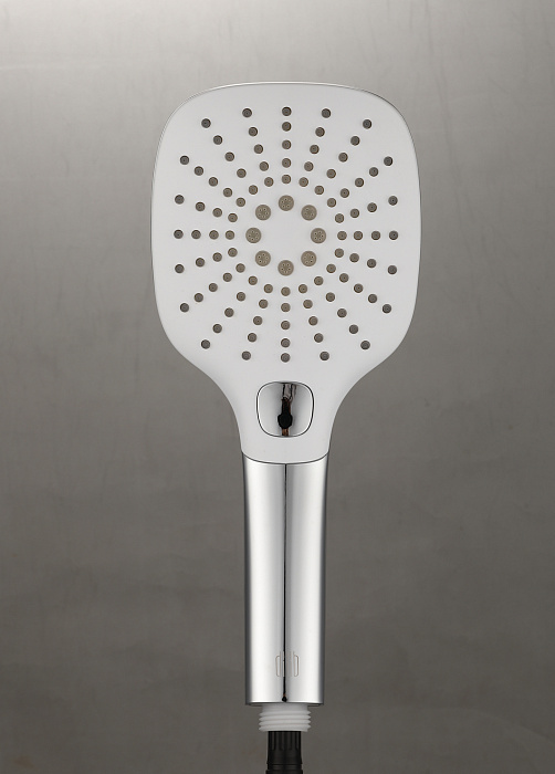 Насадка-лейка для душа Diiib Arc Side Hand Shower DGHS001 (Silver) купить в интернет-магазине icover