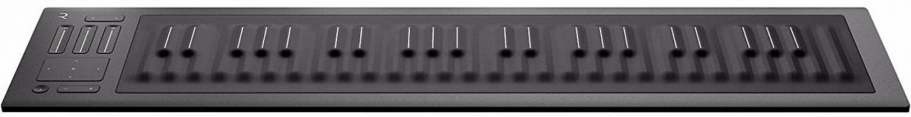 ROLI Seaboard RISE 49 - MIDI-контроллер (Grey) купить в интернет-магазине icover