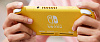 Игровая консоль Nintendo Switch Lite 45496453121 (Зэйшиан и Земазента) купить в интернет-магазине icover